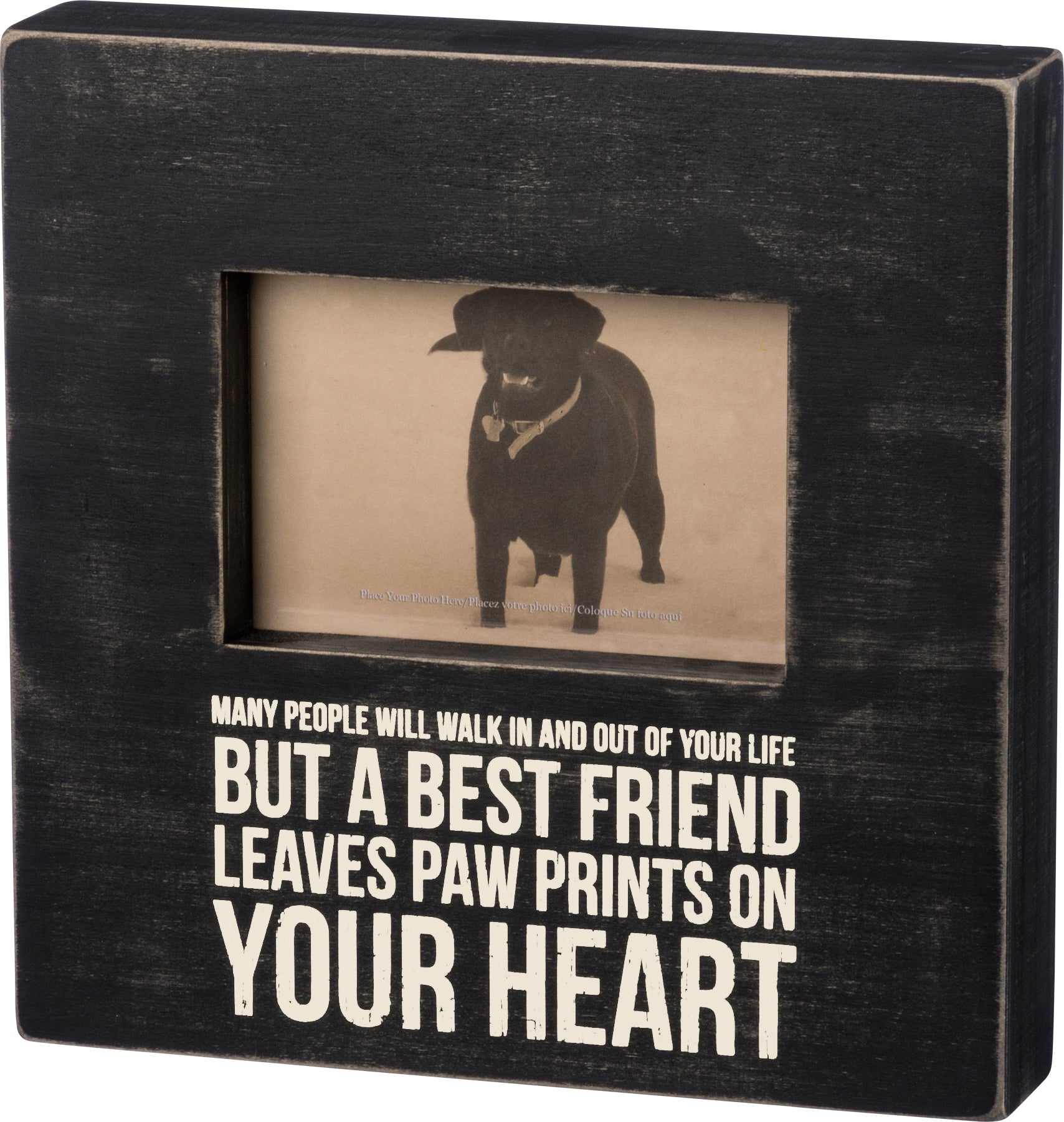 Box Frame - Leaves Paw Prints