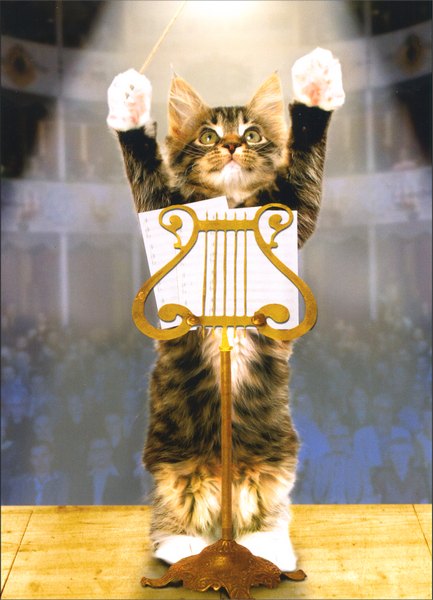 Congratulations Greeting Card - Kitty Konductor
